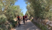 Mallorca - CLASSIC II. 11. 4. - 21. 4. 2019