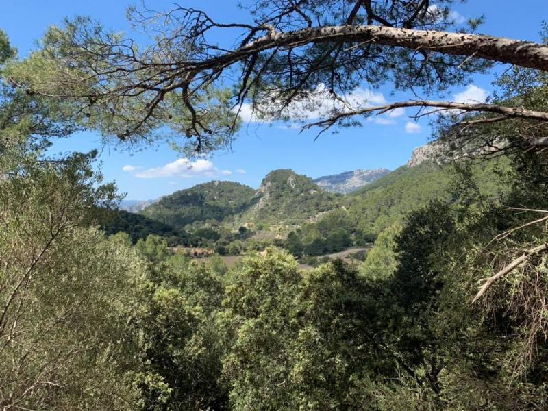 Mallorca - BIKE HOLIDAYS I. 6. - 13. 5. 2019