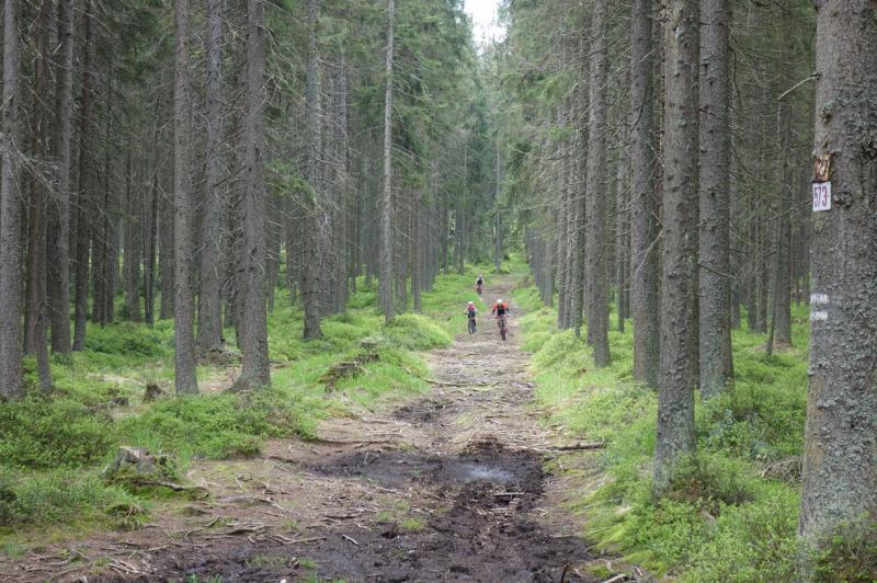 MTB Kemp Churáňov 24. - 26. 2019
