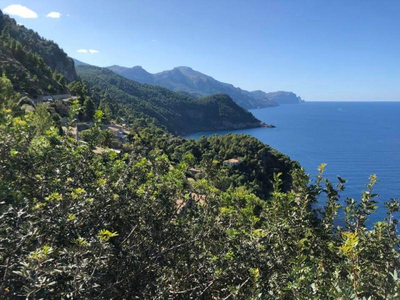 Mallorca - SUNNY MALLORCA I. 20. - 27. 10. 2019
