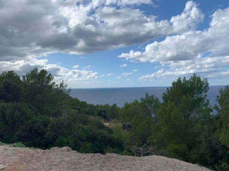 Mallorca - SUNNY MALLORCA II. 28. - 10. 11. 2019