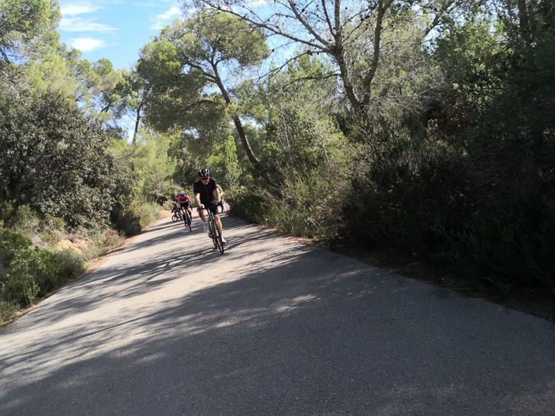 Mallorca - SUNNY MALLORCA II. 28. - 10. 11. 2019