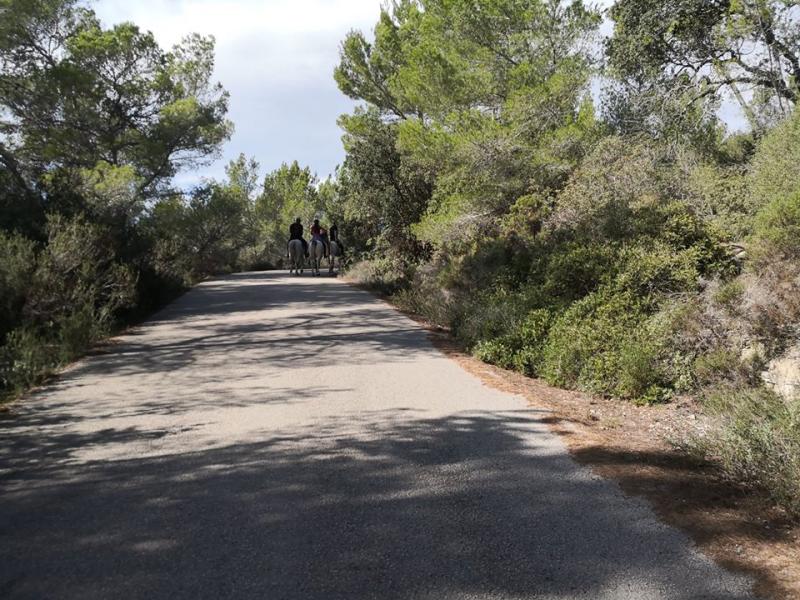 Mallorca - SUNNY MALLORCA II. 28. - 10. 11. 2019