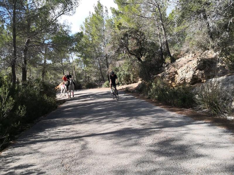 Mallorca - SUNNY MALLORCA II. 28. - 10. 11. 2019