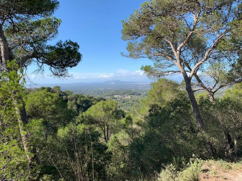 Mallorca - SUNNY MALLORCA II. 28. - 10. 11. 2019