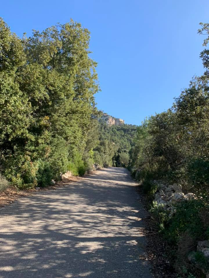 Mallorca - SUNNY MALLORCA II. 28. - 10. 11. 2019
