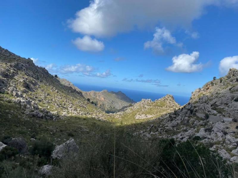 Mallorca - STARTER I./II. - 24. 2. - 8. 3. 2020