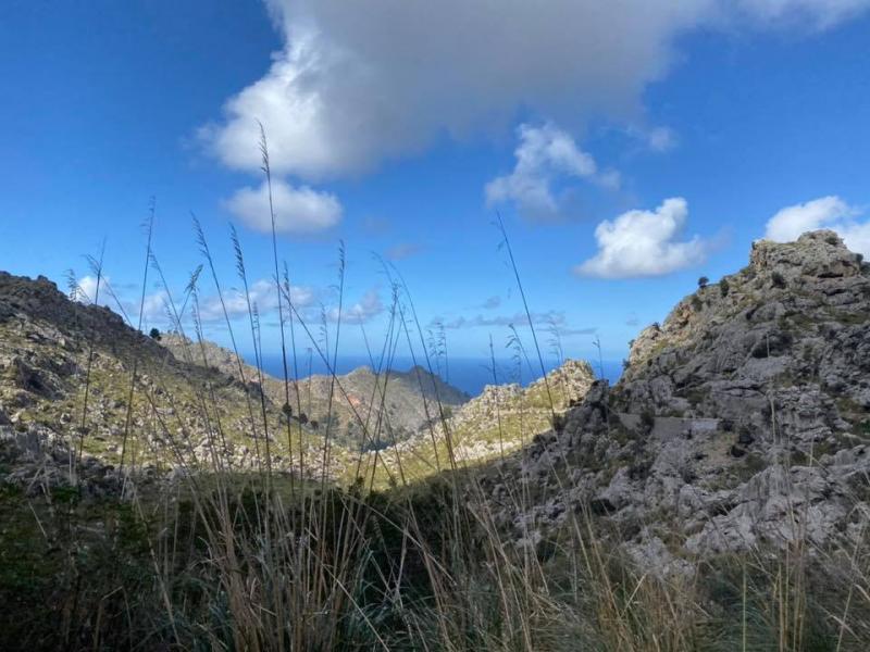 Mallorca - STARTER I./II. - 24. 2. - 8. 3. 2020