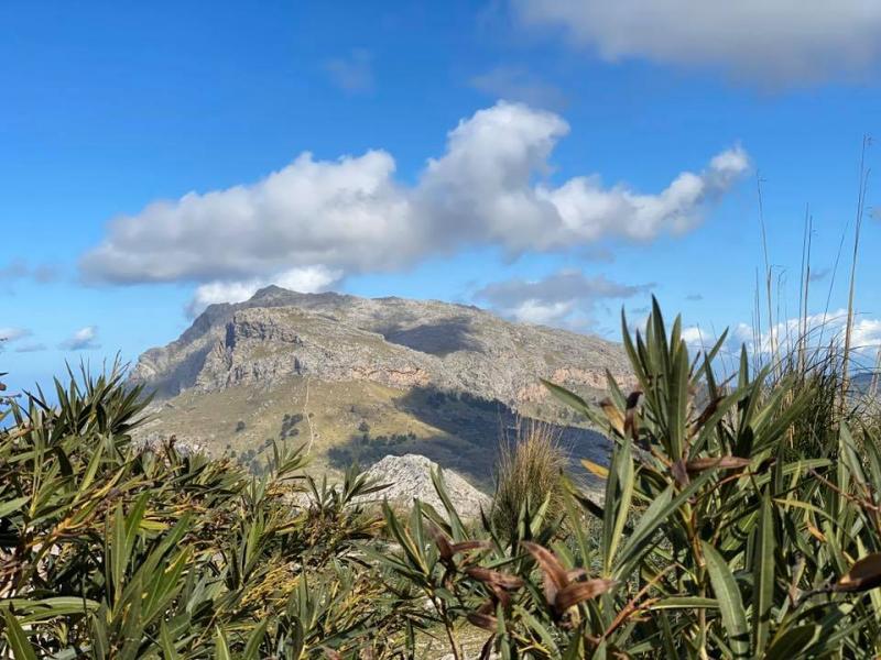 Mallorca - STARTER I./II. - 24. 2. - 8. 3. 2020