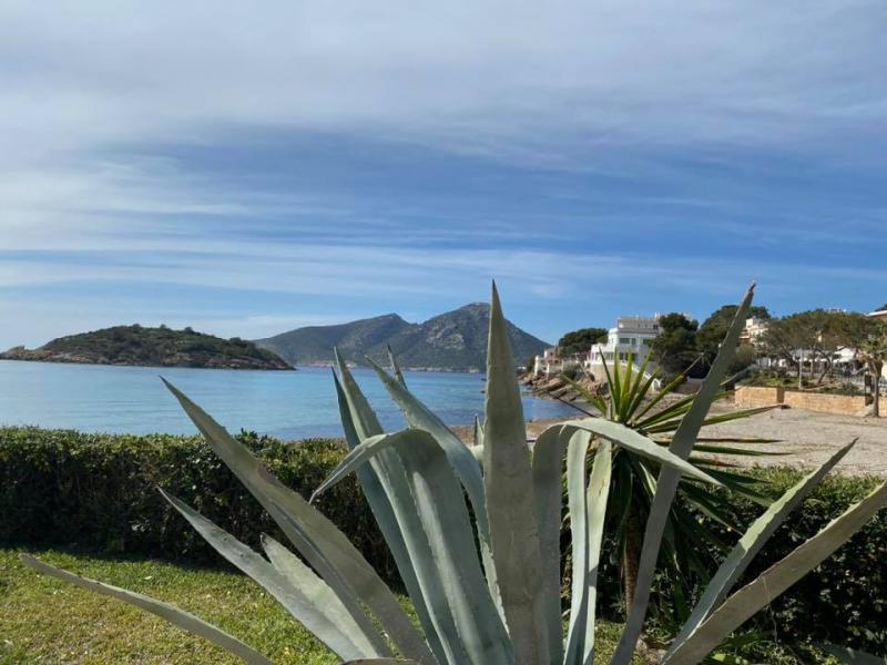 Mallorca - STARTER III. - 9. . - 18. 3. 2020