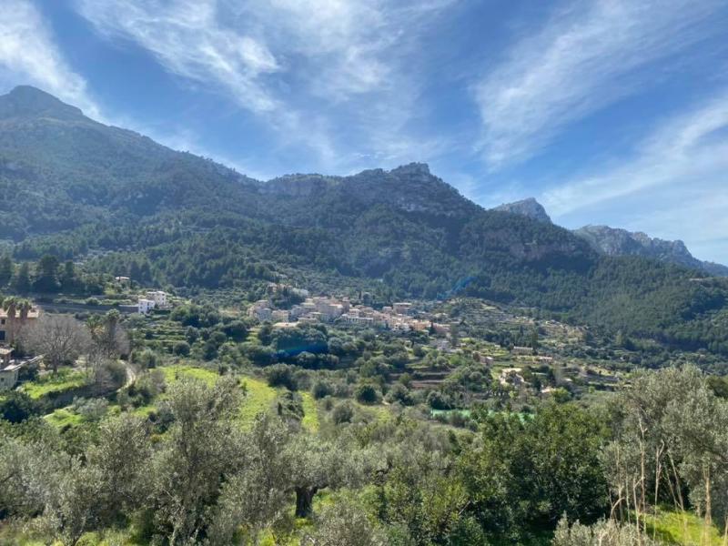 Mallorca - STARTER III. - 9. . - 18. 3. 2020