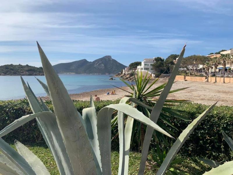 Mallorca - STARTER III. - 9. . - 18. 3. 2020