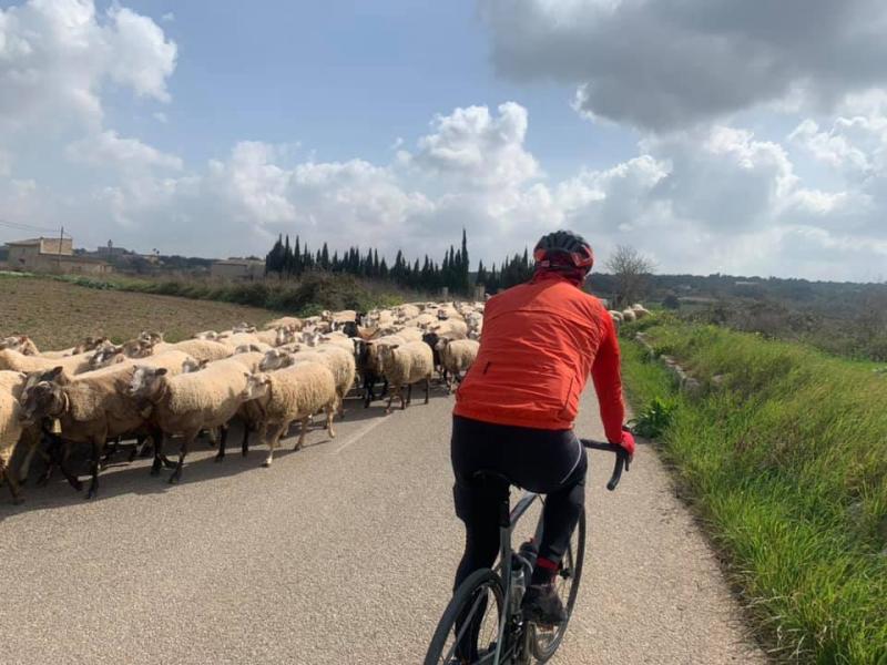 Mallorca kemp Starter I. 1. - 14.3.2021