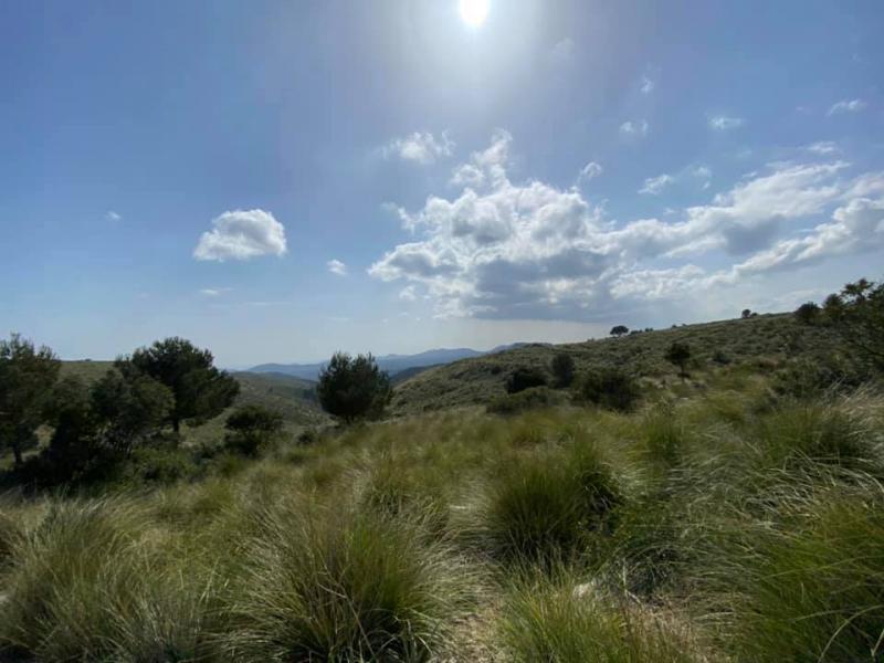 Mallorca kemp Starter I. 1. - 14.3.2021