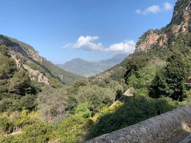Mallorca kemp Starter I. 1. - 14.3.2021