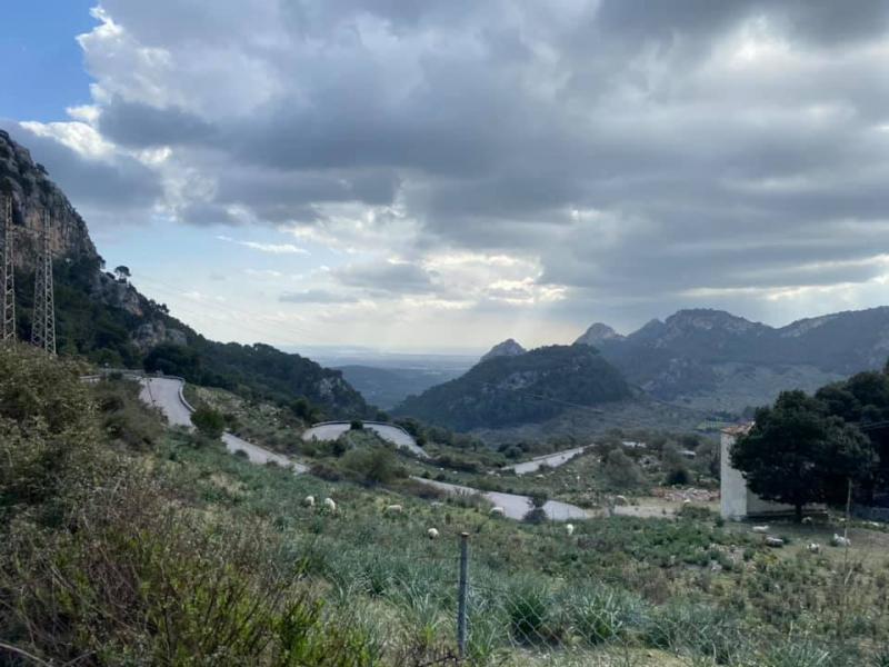 Mallorca kemp Starter I. 1. - 14.3.2021
