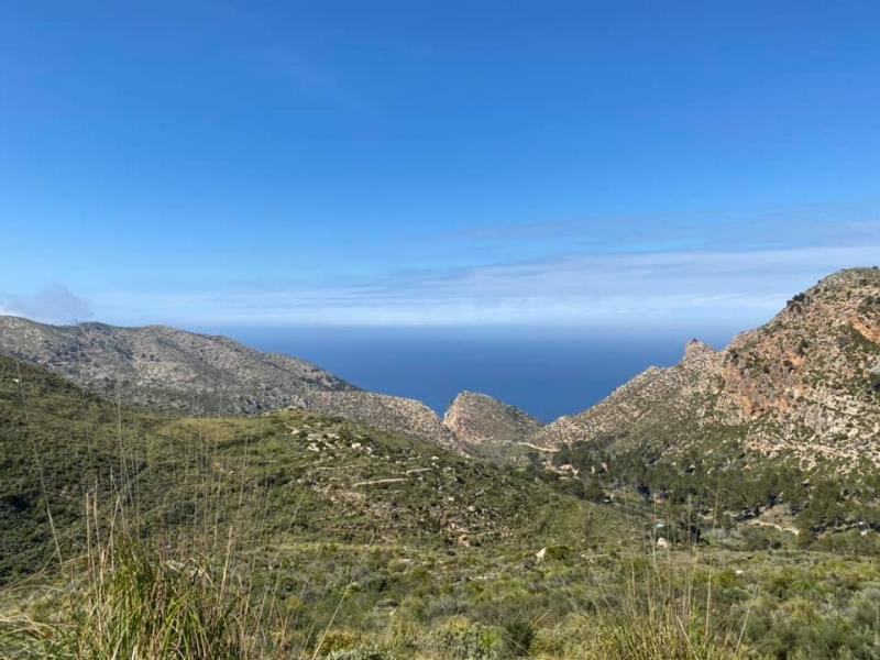 Mallorca kemp Starter I. 1. - 14.3.2021