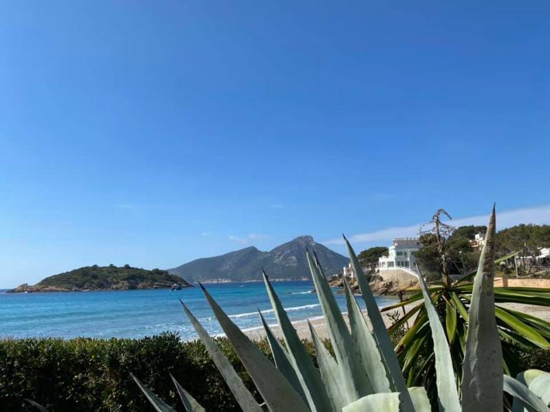 Mallorca kemp Starter I. 1. - 14.3.2021