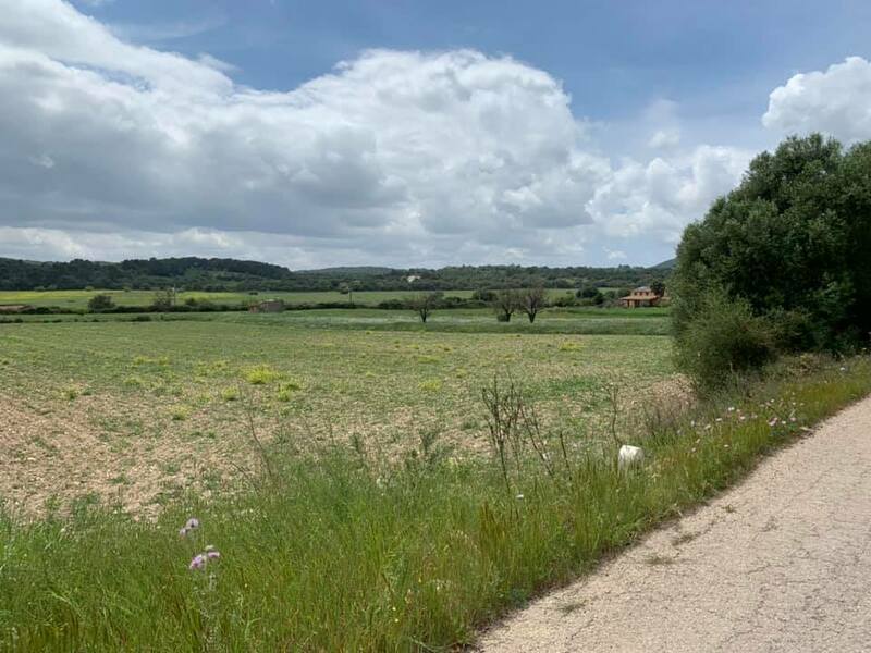 Mallorca kemp Bike Holidays II. 25.4.  - 2. 5. 2021