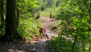 Příměstský cyklotábor 9.-13.7.2021