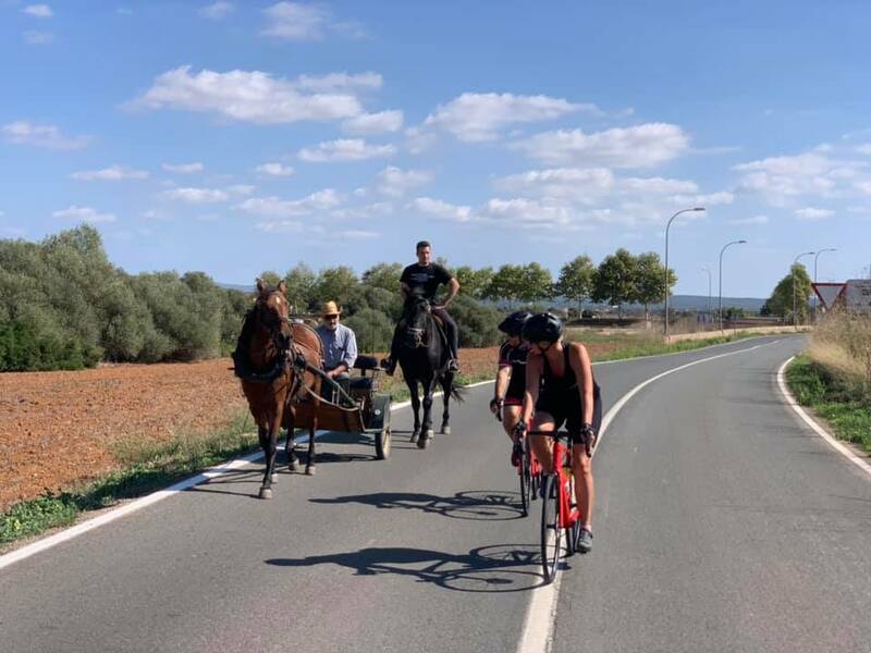 Mallorca kemp podzim Sunny Holidays II. 10. - 17.10.2021