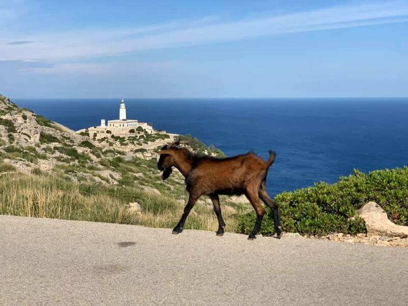Mallorca kemp podzim Sunny Holidays IV. 24. - 3.11.2021