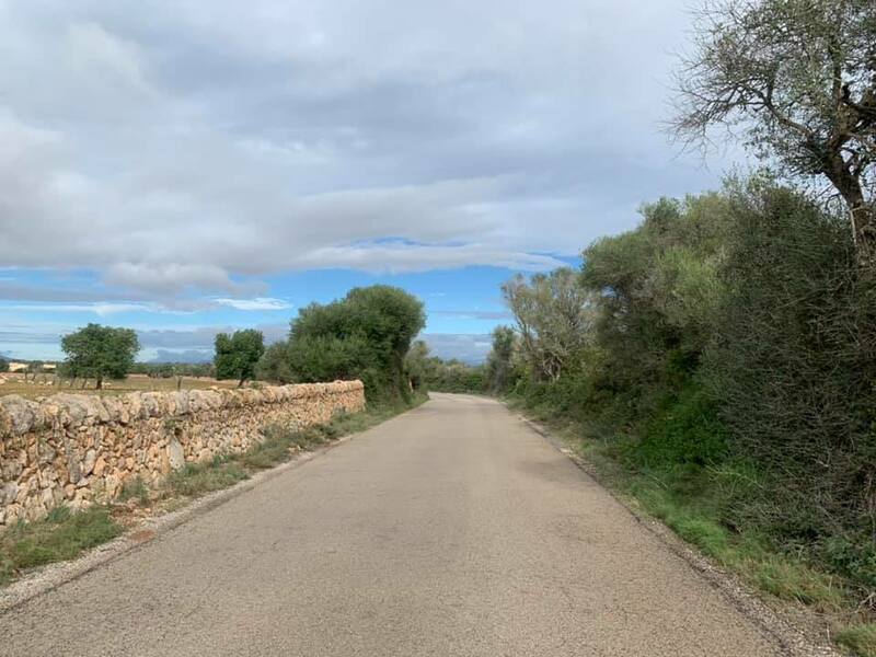 Mallorca kemp podzim Sunny Holidays IV. 24. - 3.11.2021
