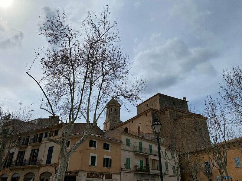 Mallorca kemp Starter I. - II. 3. - 16. 3. 2022