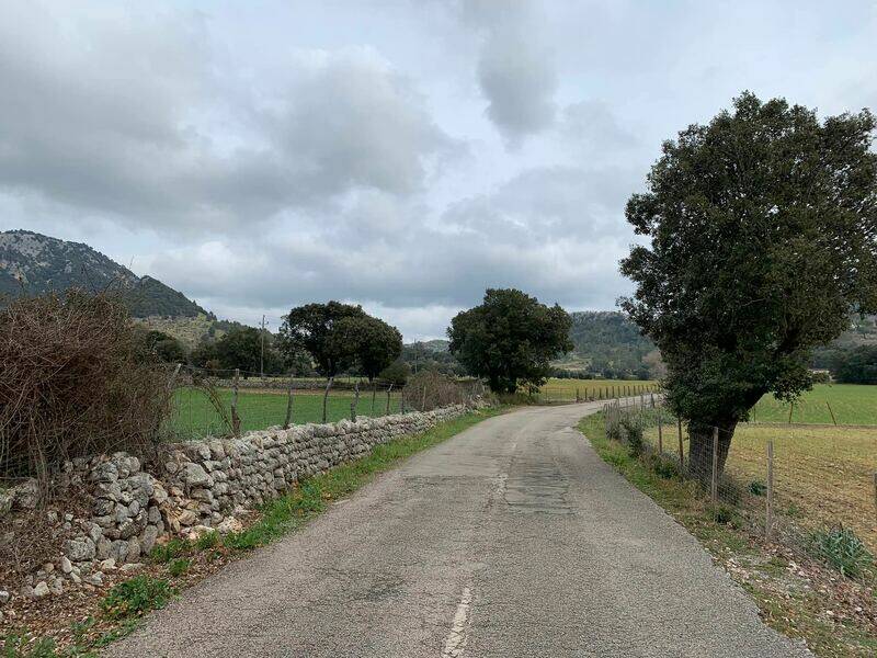 Mallorca kemp Starter I. - II. 3. - 16. 3. 2022