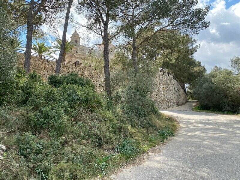 Mallorca kemp Starter I. - II. 3. - 16. 3. 2022