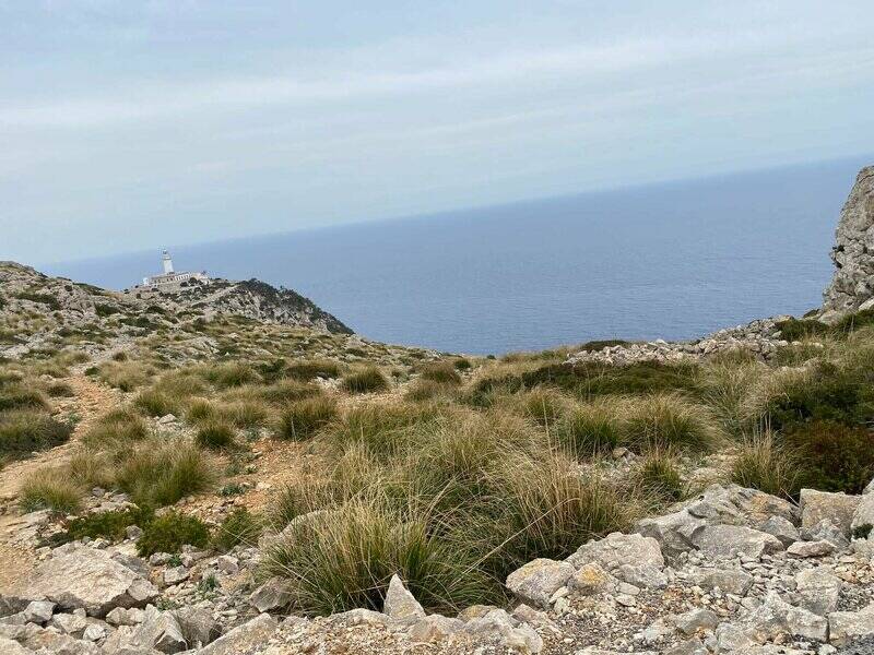 Mallorca kemp Starter I. - II. 3. - 16. 3. 2022