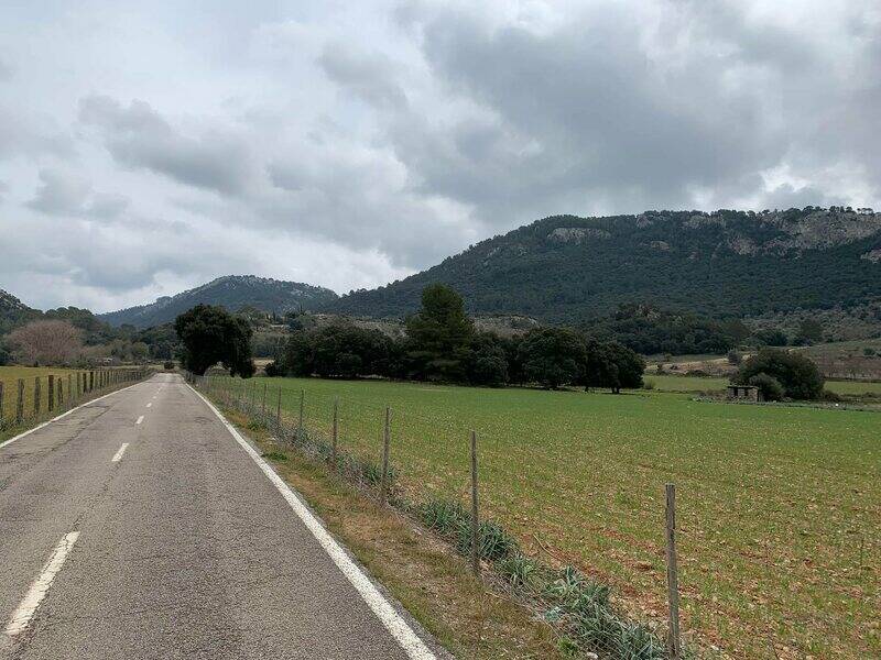 Mallorca kemp Starter I. - II. 3. - 16. 3. 2022