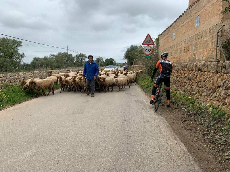 Mallorca kemp Classic I. - 18. 3. - 27. 3. 2022