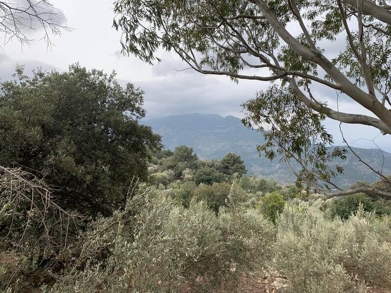Mallorca kemp Classic I. - 18. 3. - 27. 3. 2022