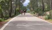 Mallorca kemp Bike Holidays II. 24.4. - 1. 5. 2022