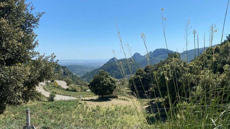 Mallorca kemp Bike Holidays III. 8. - 15. 5. 2022