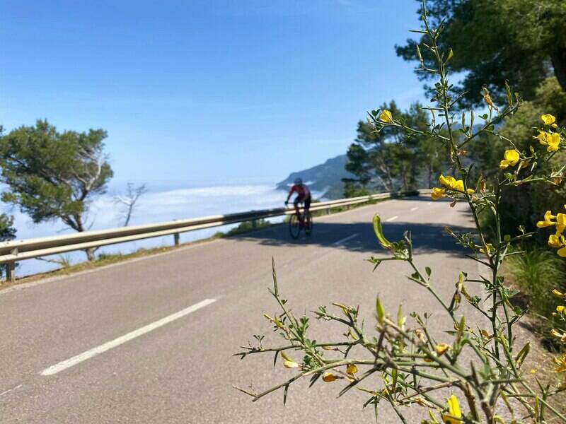 Mallorca kemp Bike Holidays III. 8. - 15. 5. 2022