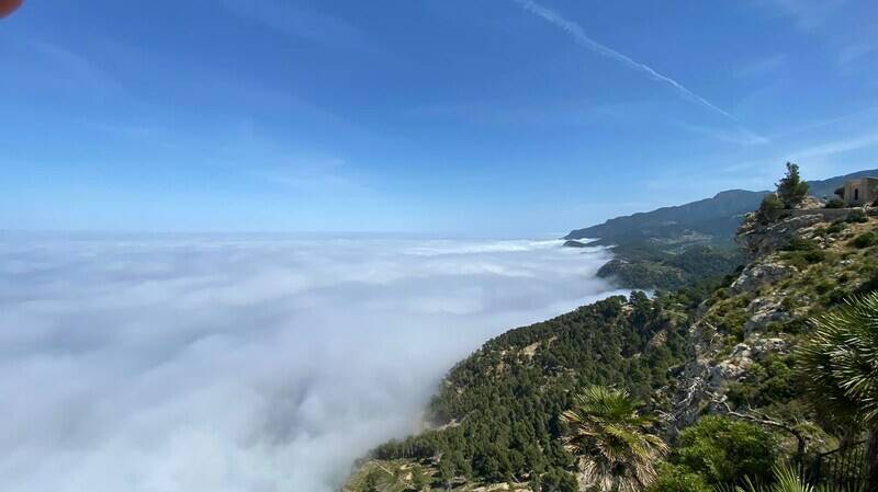 Mallorca kemp Bike Holidays III. 8. - 15. 5. 2022