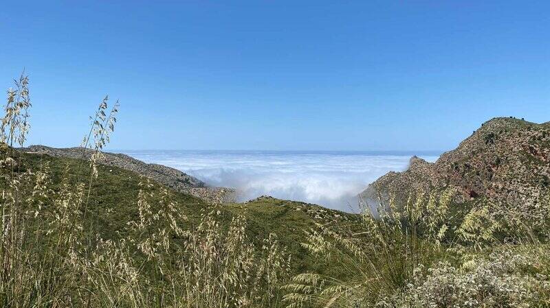 Mallorca kemp Bike Holidays III. 8. - 15. 5. 2022