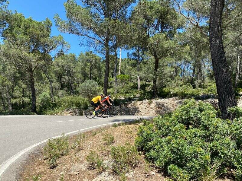 Mallorca kemp Bike Holidays III. 8. - 15. 5. 2022