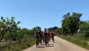 Mallorca kemp Bike Holidays III. 8. - 15. 5. 2022