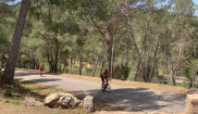 Mallorca kemp Bike Holidays III. 8. - 15. 5. 2022