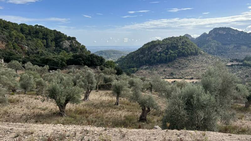 Mallorca kemp Sunny Holidays I. 4. - 8. 10. 2022