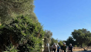 Mallorca kemp Sunny Holidays II. 9. - 16. 10. 2022
