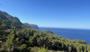 Mallorca kemp Sunny Holidays II. 9. - 16. 10. 2022