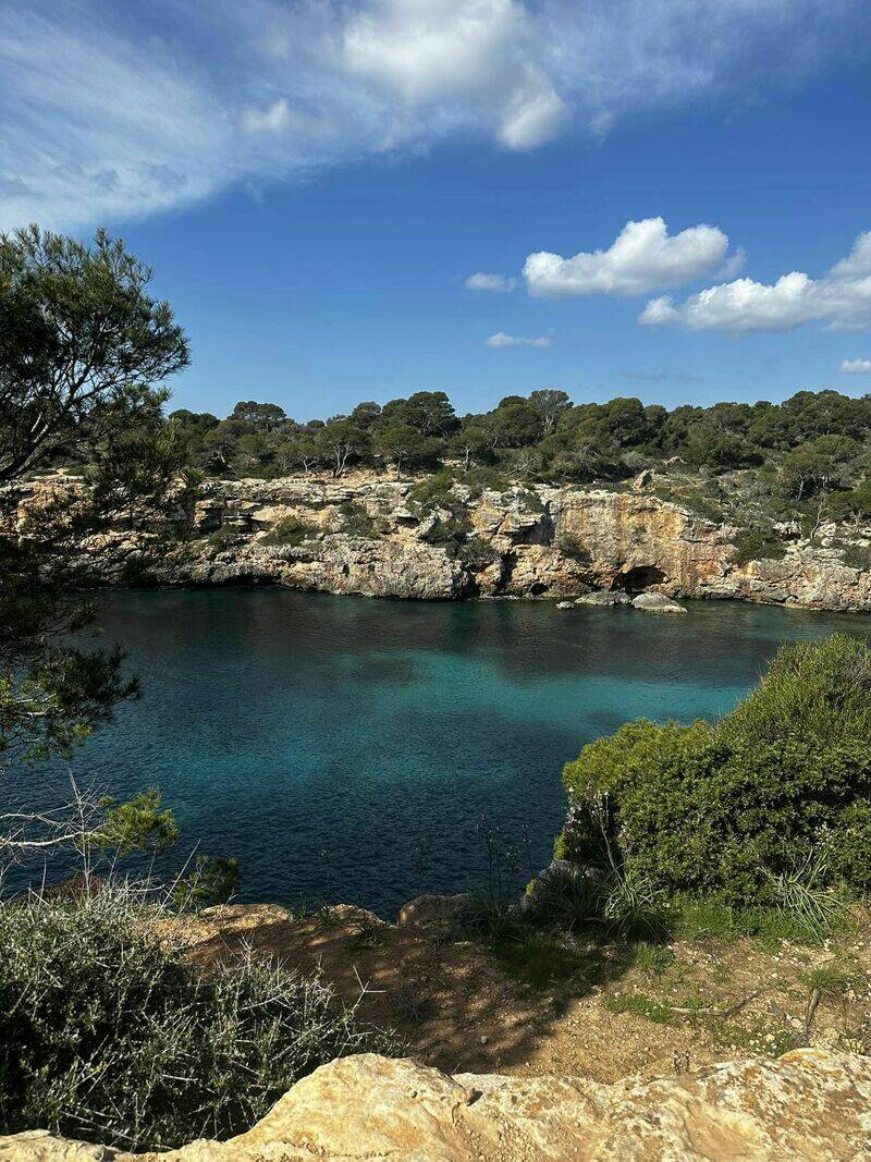 Mallorca kemp Starter I. - II. 10. - 24. 3. 2023