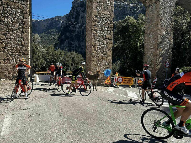 Mallorca kemp Starter I. - II. 10. - 24. 3. 2023