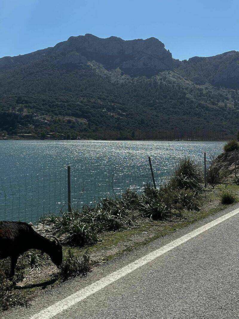 Mallorca kemp Starter I. - II. 10. - 24. 3. 2023