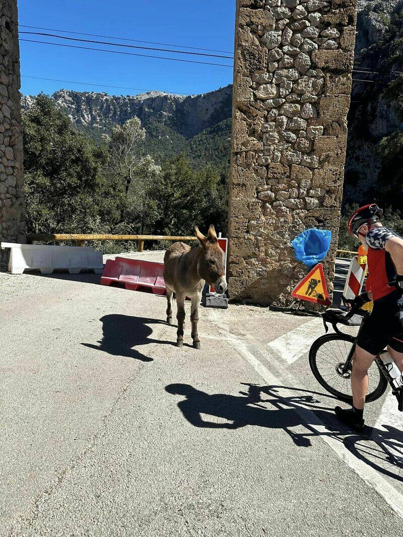 Mallorca kemp Starter I. - II. 10. - 24. 3. 2023