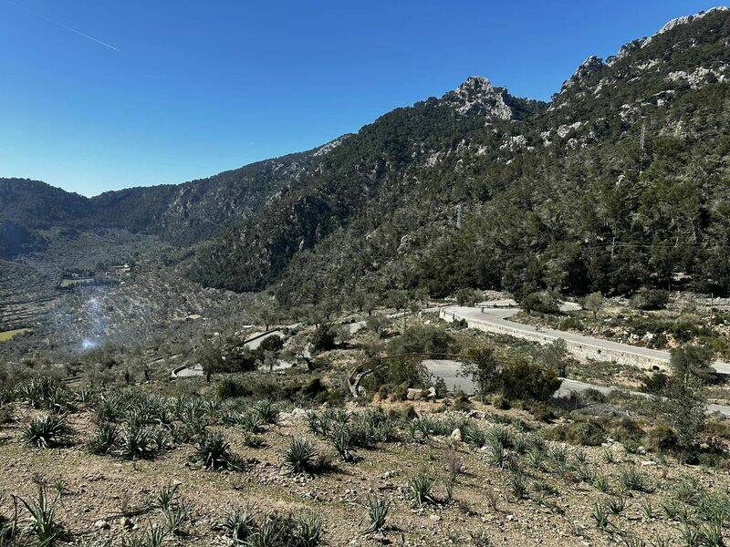 Mallorca kemp Starter I. - II. 10. - 24. 3. 2023
